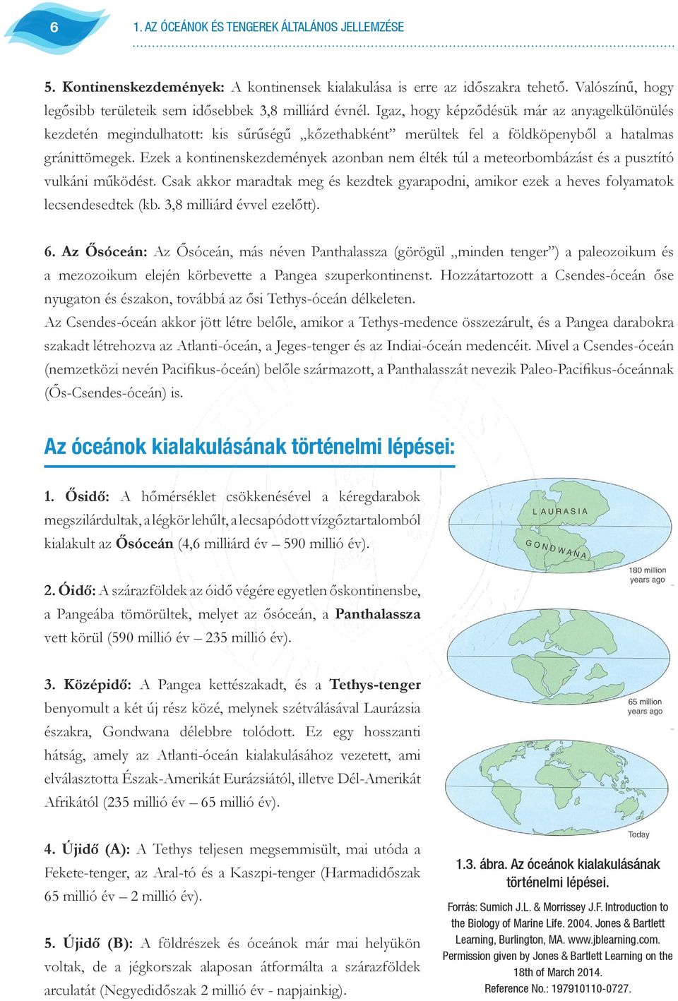 Ezek a kontinenskezdemények azonban nem élték túl a meteorbombázást és a pusztító vulkáni működést. Csak akkor maradtak meg és kezdtek gyarapodni, amikor ezek a heves folyamatok lecsendesedtek (kb.