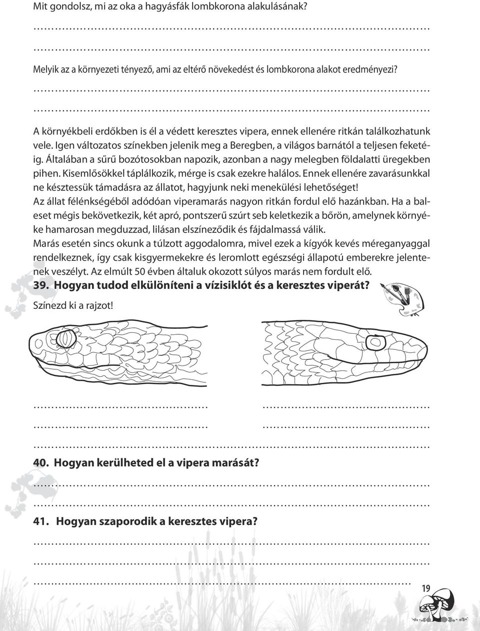 Általában a sűrű bozótosokban napozik, azonban a nagy melegben földalatti üregekben pihen. Kisemlősökkel táplálkozik, mérge is csak ezekre halálos.