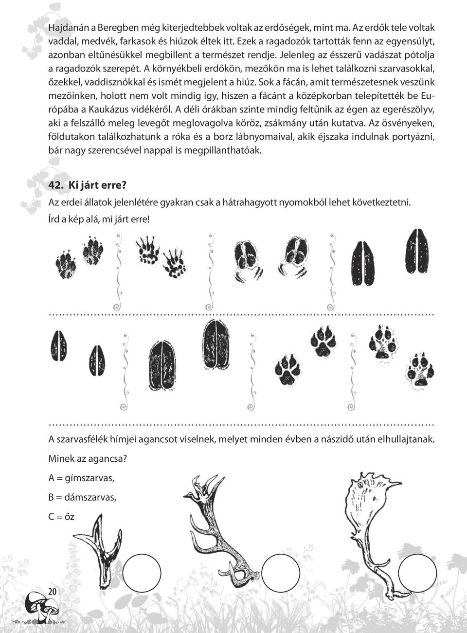 A környékbeli erdőkön, mezőkön ma is lehet találkozni szarvasokkal, őzekkel, vaddisznókkal és ismét megjelent a hiúz.