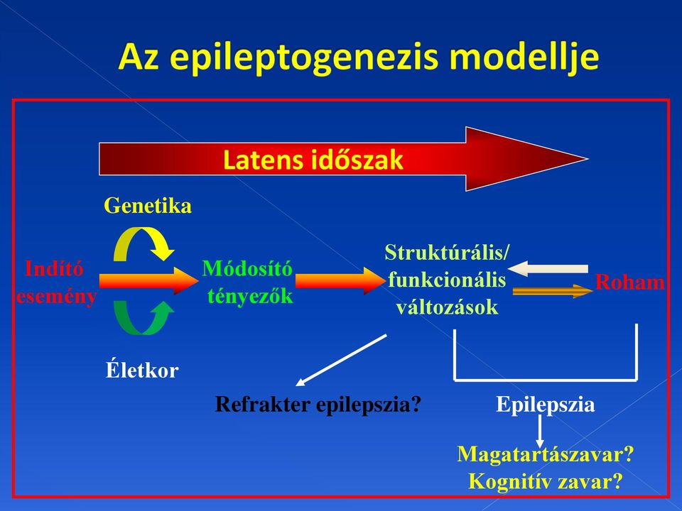 funkcionális változások Roham Életkor