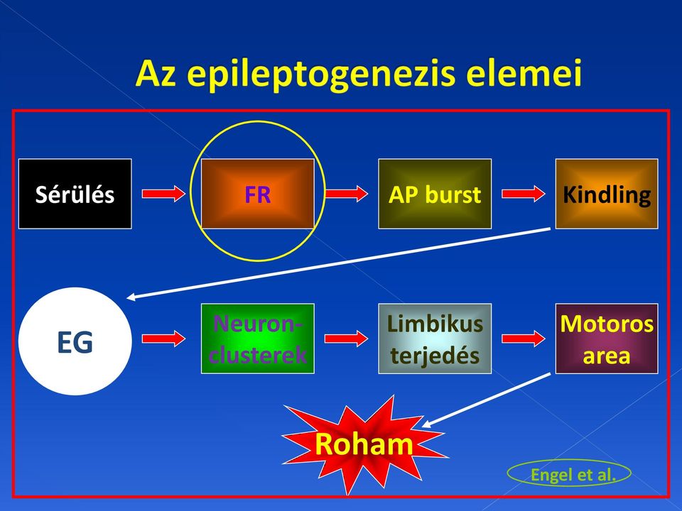 Neuronclusterek Limbikus