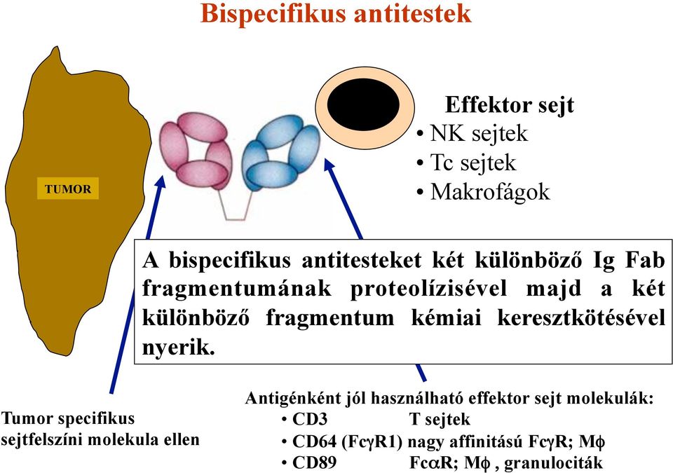 kémiai keresztkötésével nyerik.