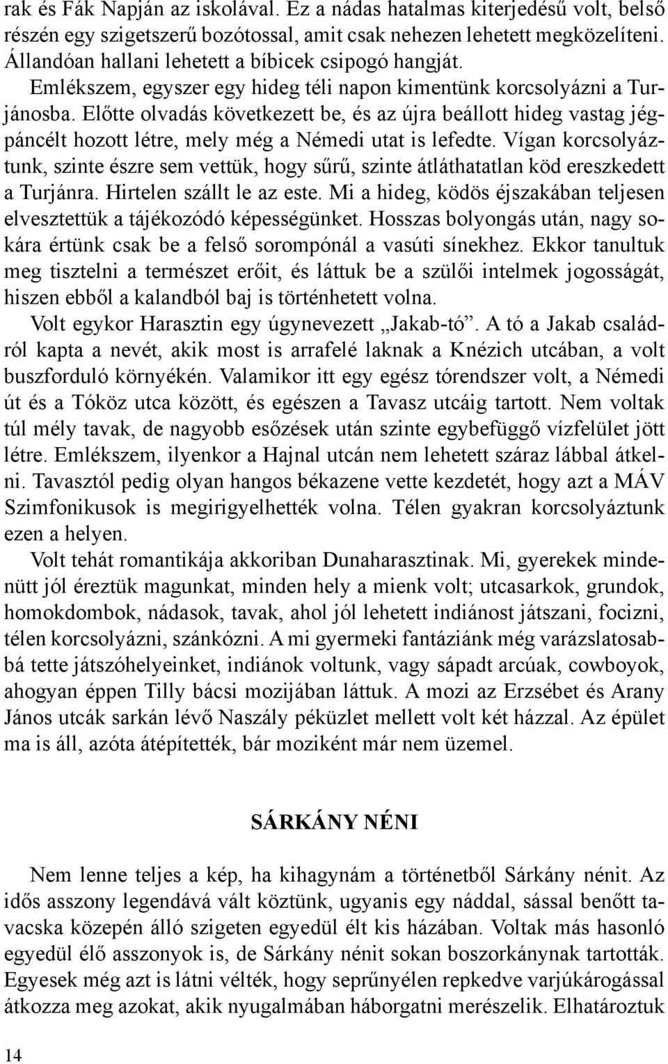 Előtte olvadás következett be, és az újra beállott hideg vastag jégpáncélt hozott létre, mely még a Némedi utat is lefedte.