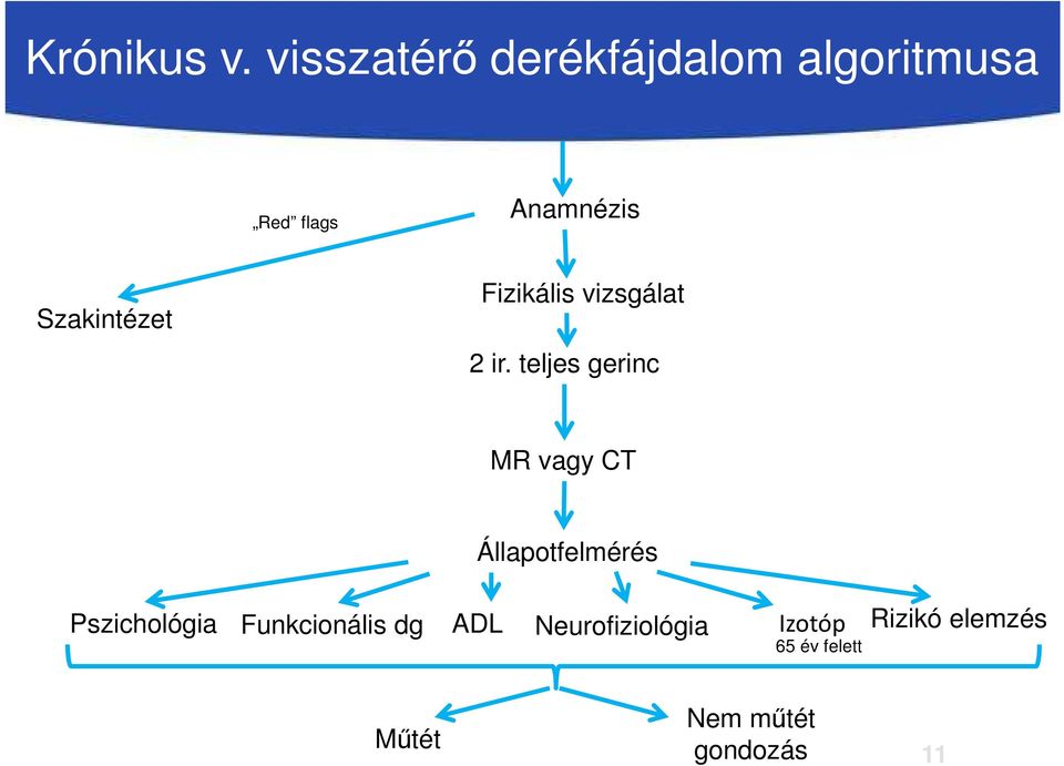 Szakintézet Fizikális vizsgálat 2 ir.