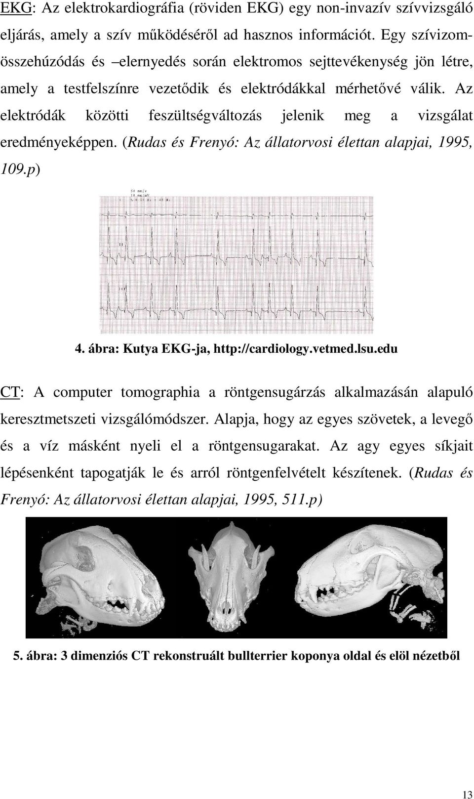Az elektródák közötti feszültségváltozás jelenik meg a vizsgálat eredményeképpen. (Rudas és Frenyó: Az állatorvosi élettan alapjai, 1995, 109.p) 4. ábra: Kutya EKG-ja, http://cardiology.vetmed.lsu.