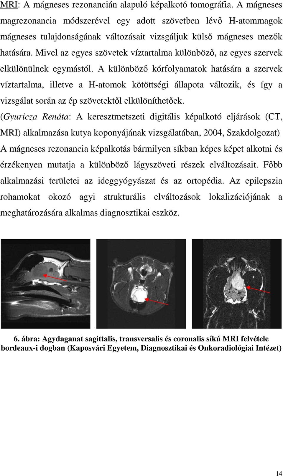 Mivel az egyes szövetek víztartalma különböző, az egyes szervek elkülönülnek egymástól.