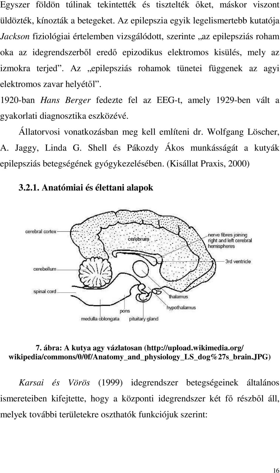 terjed. Az epilepsziás rohamok tünetei függenek az agyi elektromos zavar helyétől. 1920-ban Hans Berger fedezte fel az EEG-t, amely 1929-ben vált a gyakorlati diagnosztika eszközévé.