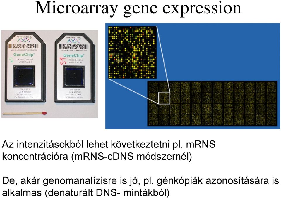 mrns koncentrációra (mrns-cdns módszernél) De, akár