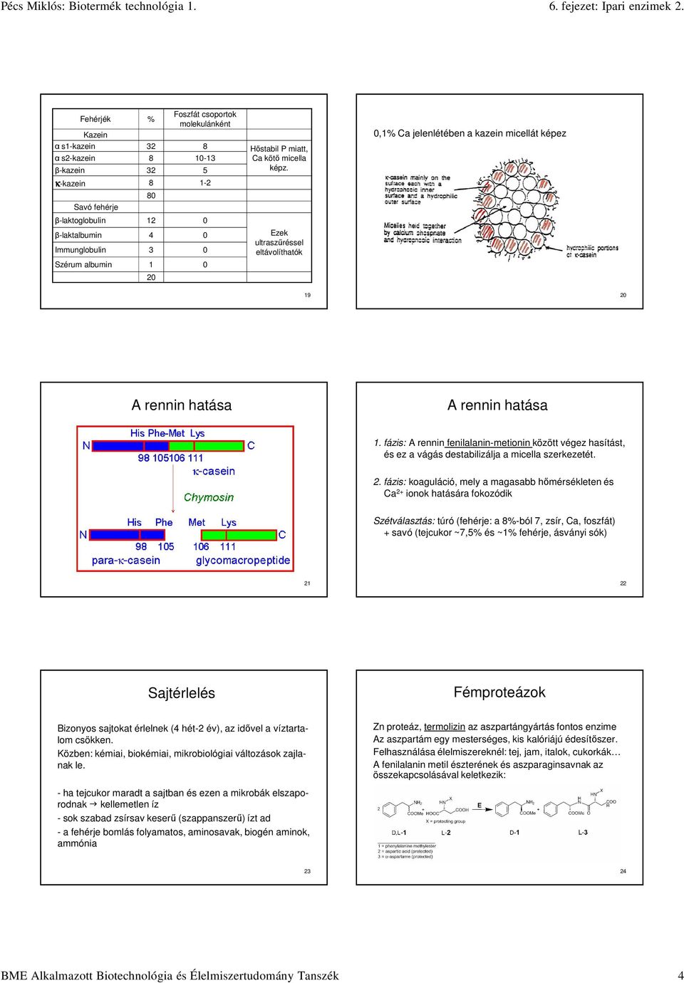 rennin hatása A rennin hatása 1. fázis: A rennin fenilalanin-metionin között végez hasítást, és ez a vágás destabilizálja a micella szerkezetét. 2.