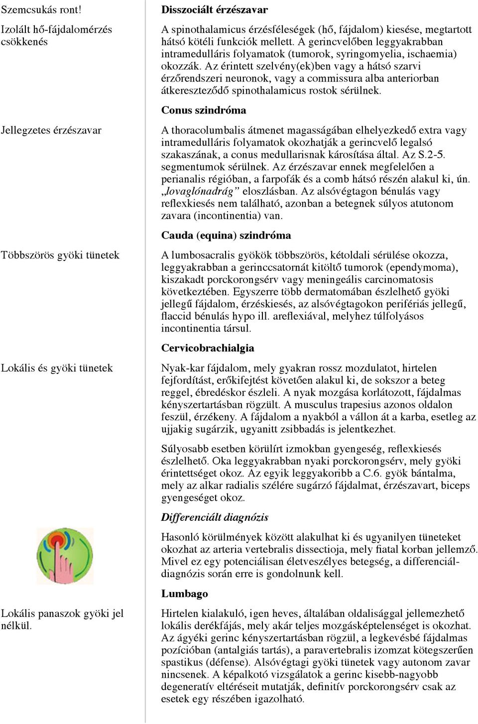 A gerincvelőben leggyakrabban intramedulláris folyamatok (tumorok, syringomyelia, ischaemia) okozzák.