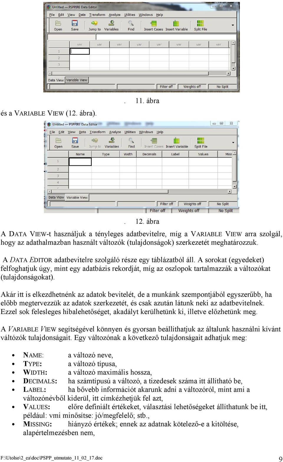 A DATA EDITOR adatbevitelre szolgáló része egy táblázatból áll. A sorokat (egyedeket) felfoghatjuk úgy, mint egy adatbázis rekordját, míg az oszlopok tartalmazzák a változókat (tulajdonságokat).