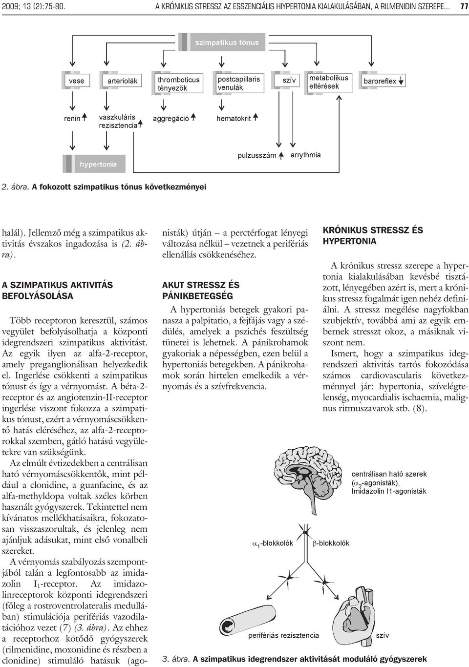 A SZIMPATIKUS AKTIVITÁS BEFOLYÁSOLÁSA Több receptoron keresztül, számos vegyület befolyásolhatja a központi idegrendszeri szimpatikus aktivitást.
