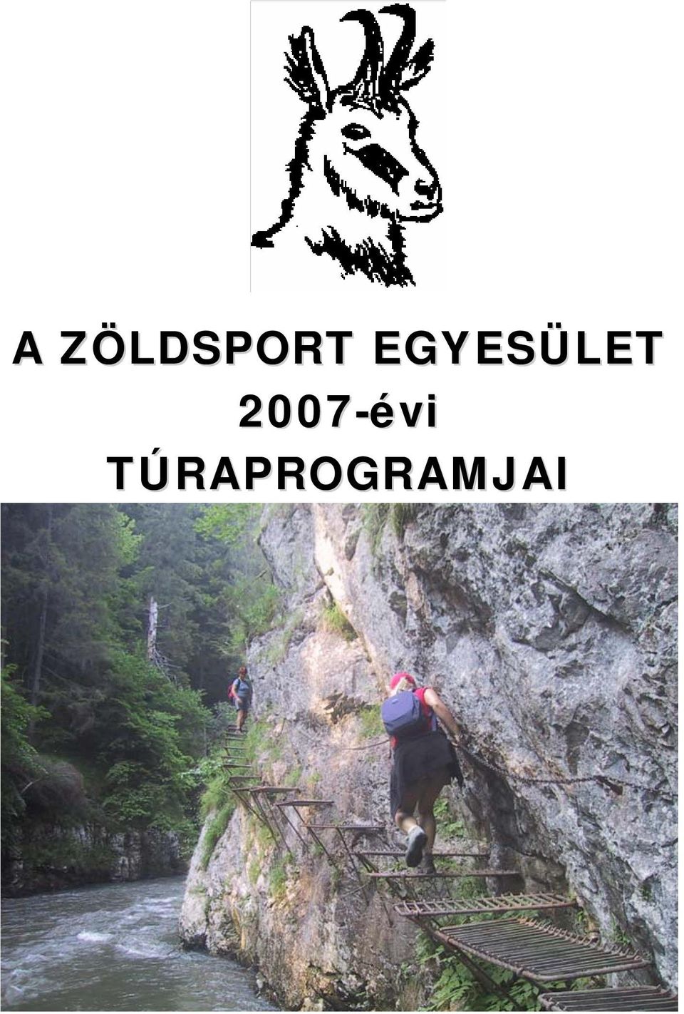 2007-évi