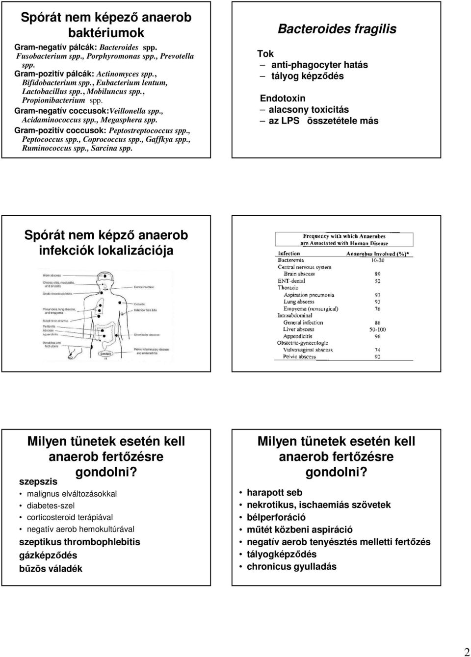 Gram-pozitív coccusok: Peptostreptococcus spp., Peptococcus spp., Coprococcus spp., Gaffkya spp., Ruminococcus spp., Sarcina spp.