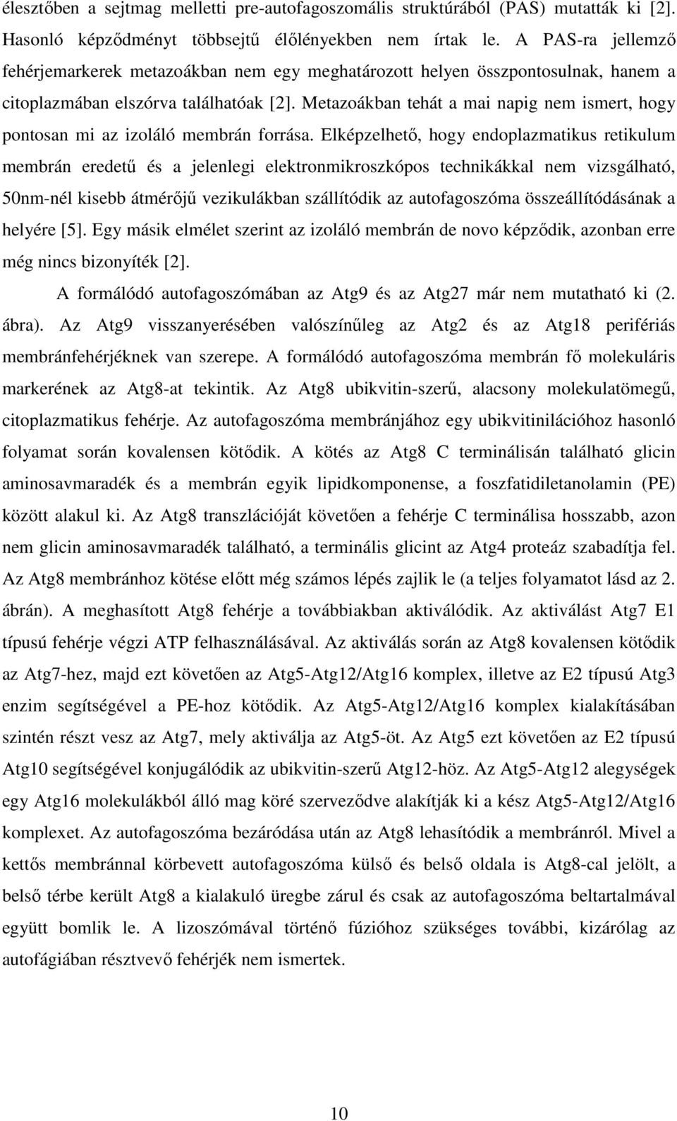 Metazoákban tehát a mai napig nem ismert, hogy pontosan mi az izoláló membrán forrása.