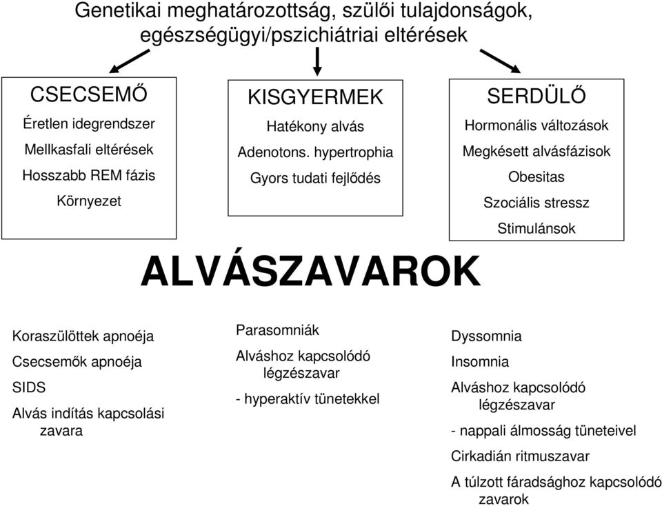 hypertrophia Gyors tudati fejlıdés Hormonális változások Megkésett alvásfázisok Obesitas Szociális stressz Stimulánsok ALVÁSZAVAROK Koraszülöttek apnoéja