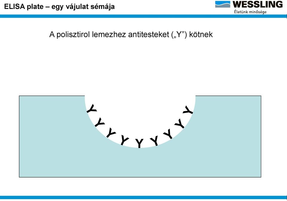 polisztirol lemezhez