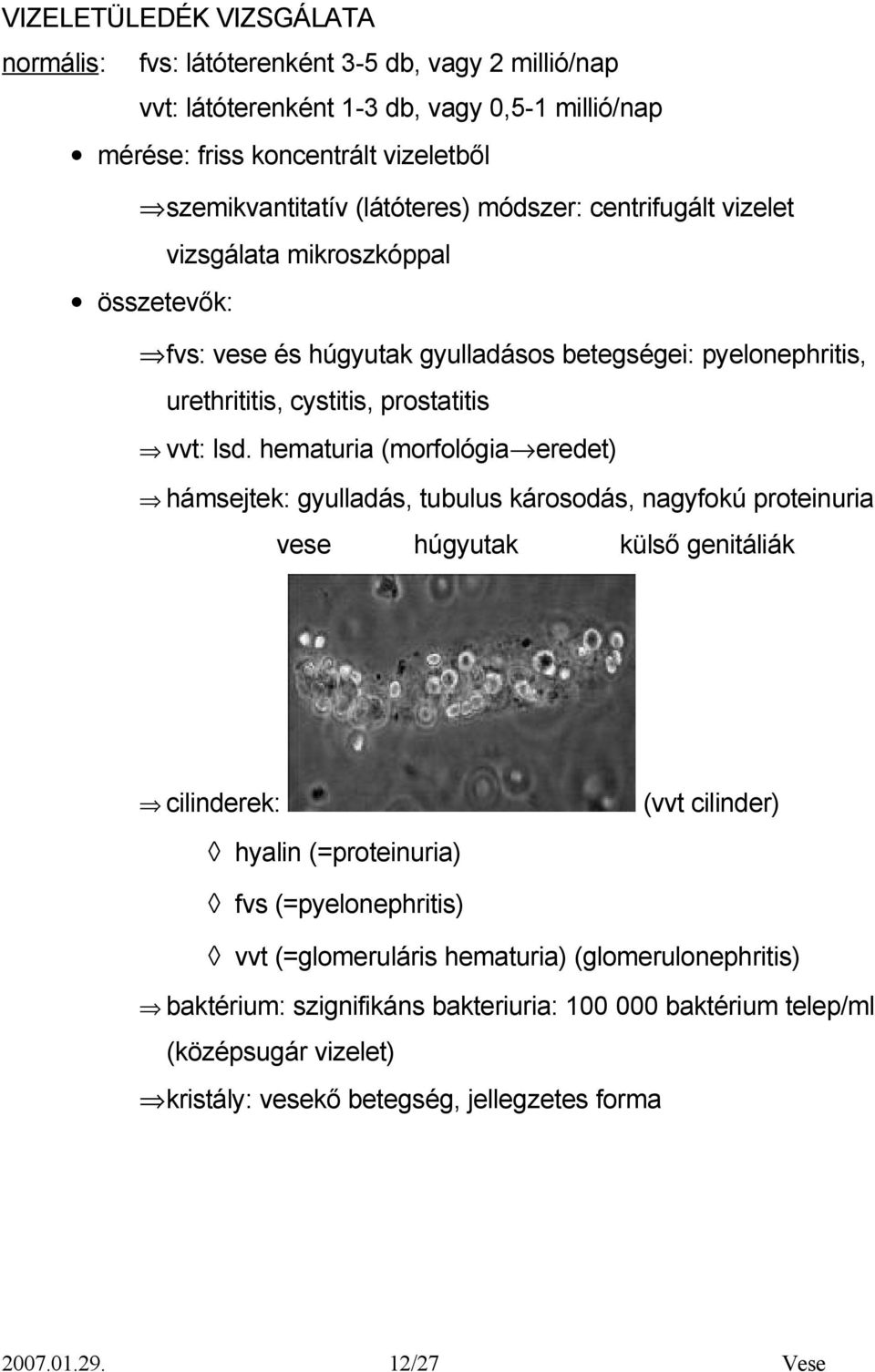 hematuria (morfológia eredet) hámsejtek: gyulladás, tubulus károsodás, nagyfokú proteinuria vese húgyutak cilinderek: külső genitáliák (vvt cilinder) hyalin (=proteinuria) fvs