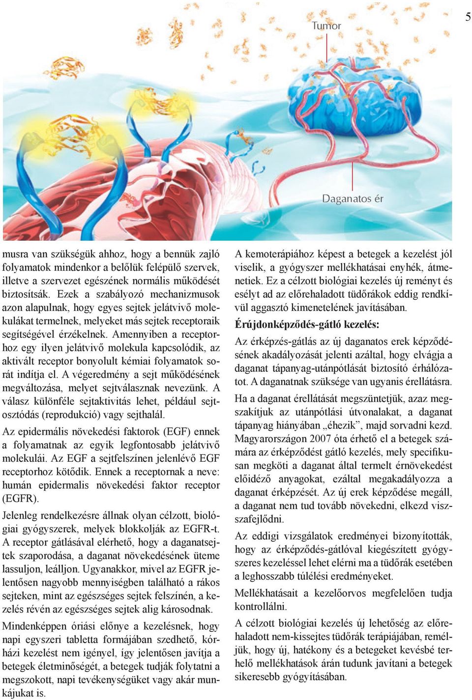 Amennyiben a receptorhoz egy ilyen jelátvivő molekula kapcsolódik, az aktivált receptor bonyolult kémiai folyamatok sorát indítja el.