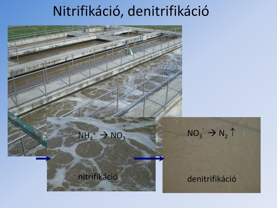 NH 4 + NO 3 - NO 3 - N2