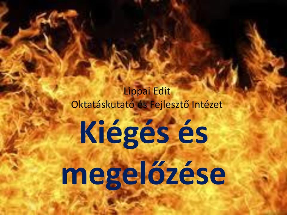 Fejlesztő