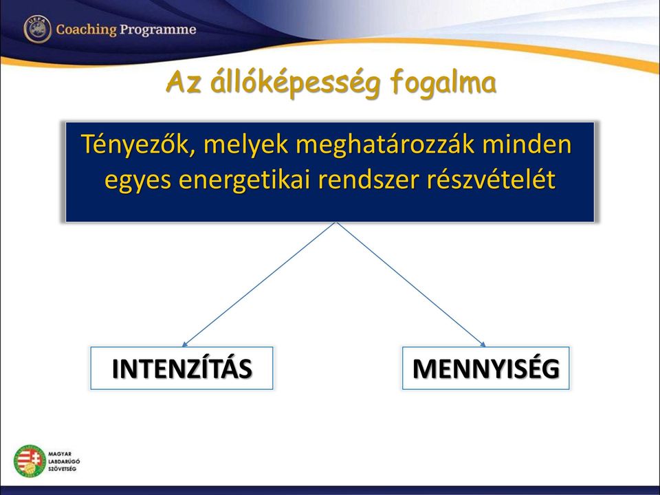 minden egyes energetikai