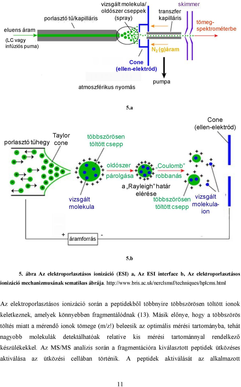 a porlasztó tűhegy Taylor cone többszörösen töltött csepp Cone (ellen-elektród) vizsgált molekula oldószer párolgása Coulomb robbanás a Rayleigh határ elérése többszörösen töltött csepp vizsgált