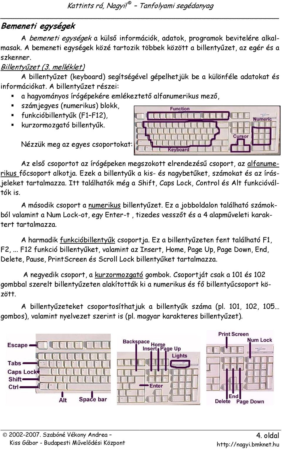 A billentyőzet részei: a hagyományos írógépekére emlékeztetı alfanumerikus mezı, számjegyes (numerikus) blokk, funkcióbillentyők (F1 F12), kurzormozgató billentyők.