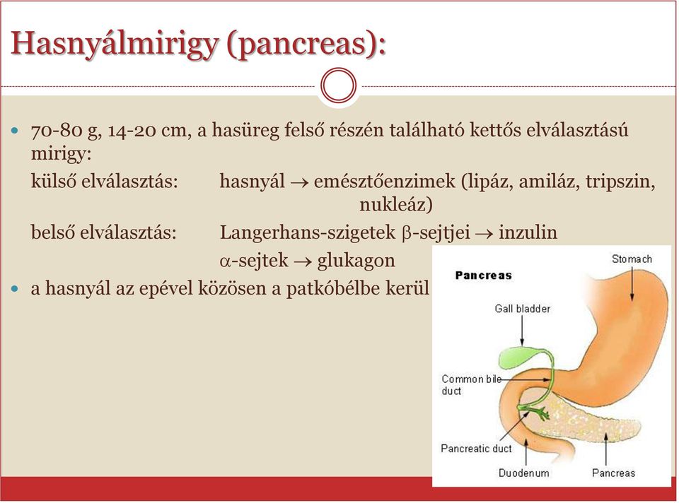 hasnyál emésztőenzimek (lipáz, amiláz, tripszin, nukleáz)