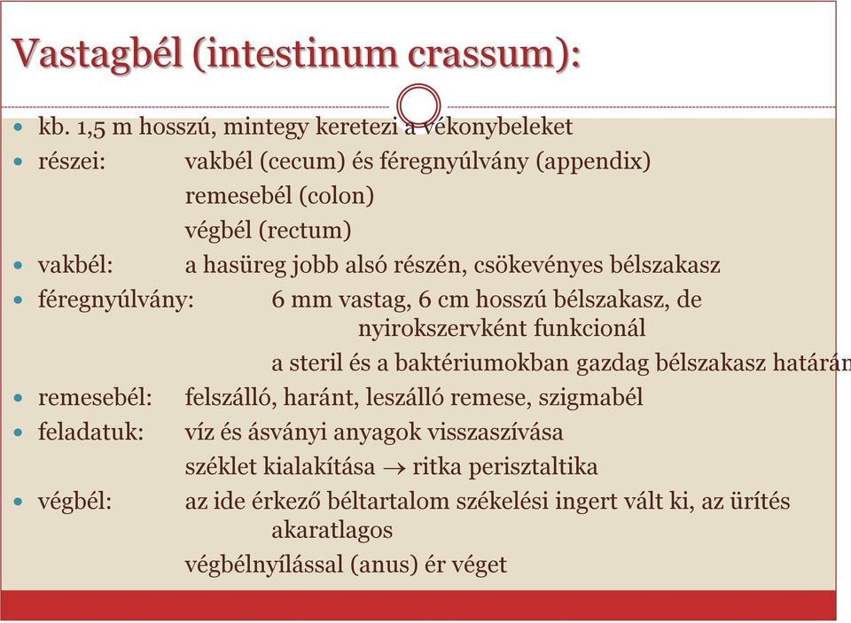 remesebél (colon) végbél (rectum) a hasüreg jobb alsó részén, csökevényes bélszakasz 6 mm vastag, 6 cm hosszú bélszakasz, de nyirokszervként funkcionál a