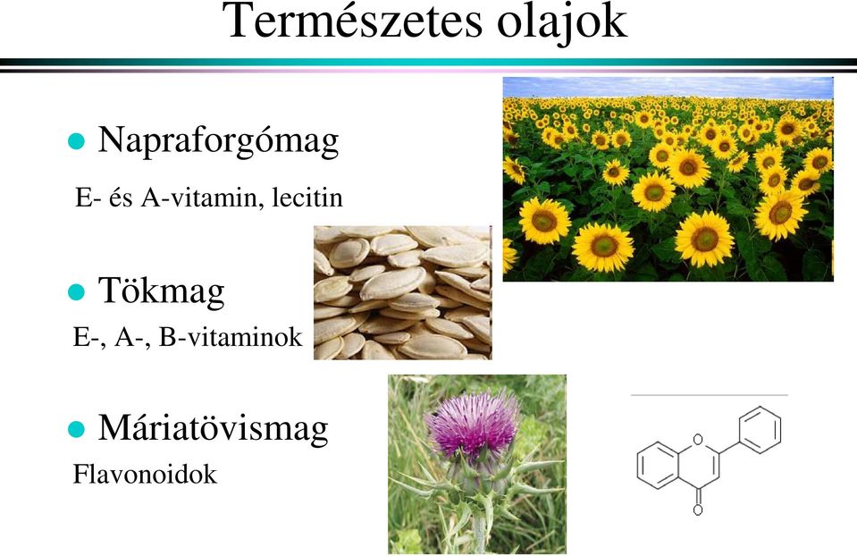 A-vitamin, lecitin Tökmag