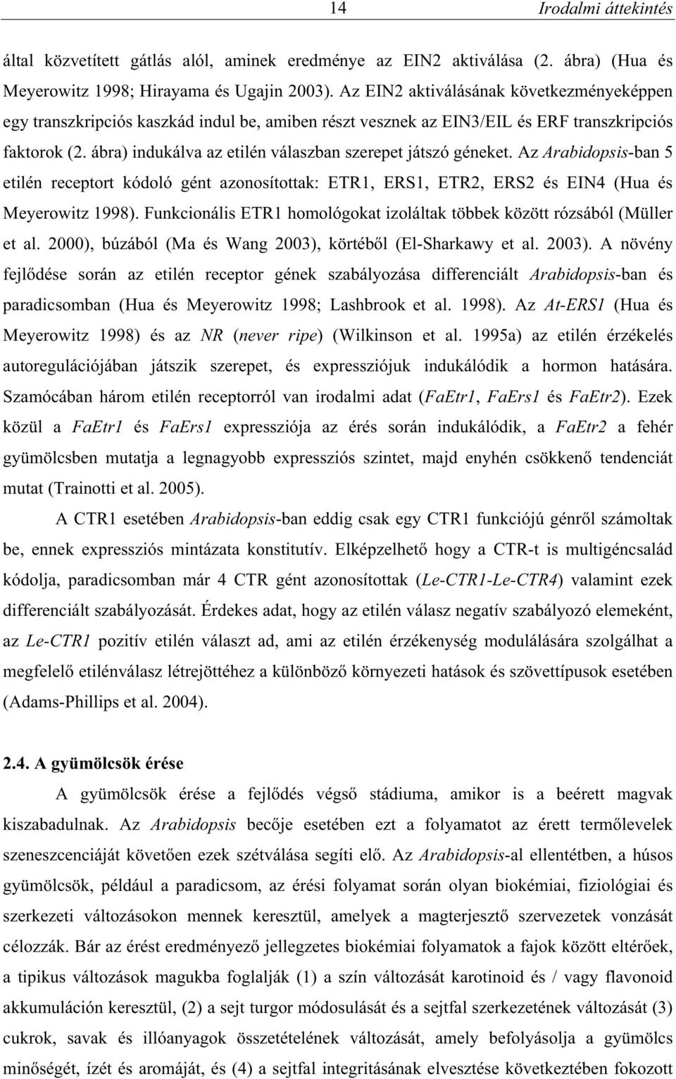 ábra) indukálva az etilén válaszban szerepet játszó géneket. Az Arabidopsis-ban 5 etilén receptort kódoló gént azonosítottak: ETR1, ERS1, ETR2, ERS2 és EIN4 (Hua és Meyerowitz 1998).