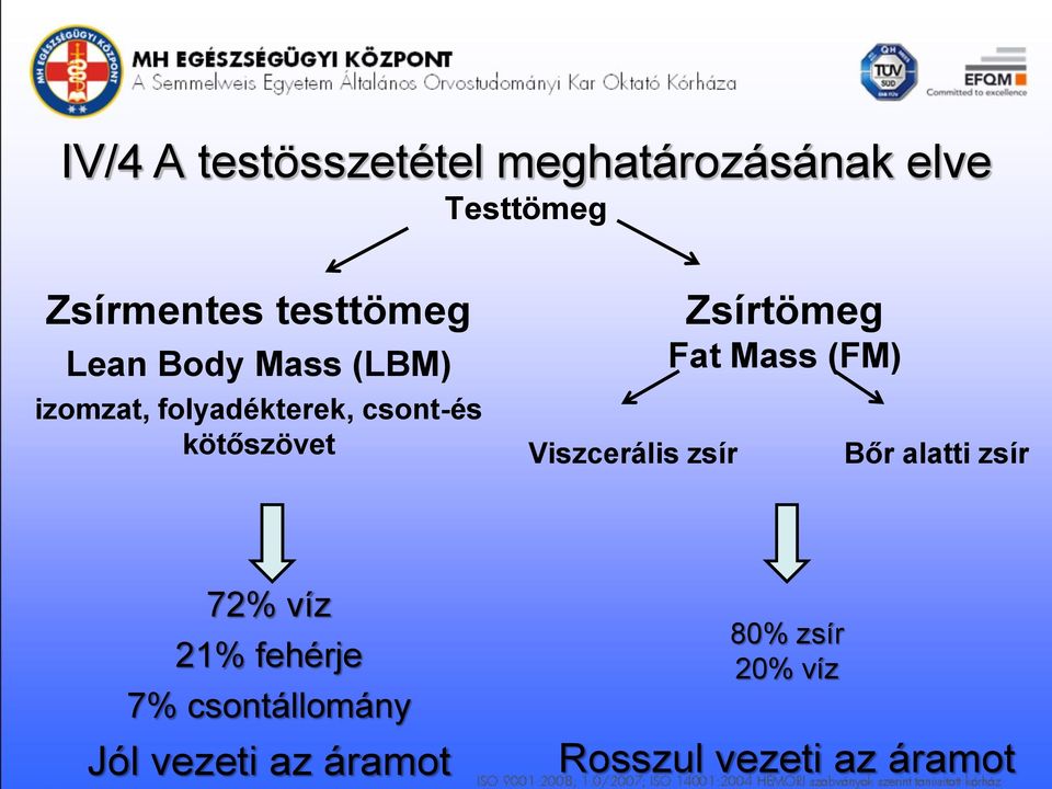 kötőszövet Viszcerális zsír Zsírtömeg Fat Mass (FM) Bőr alatti zsír 72%