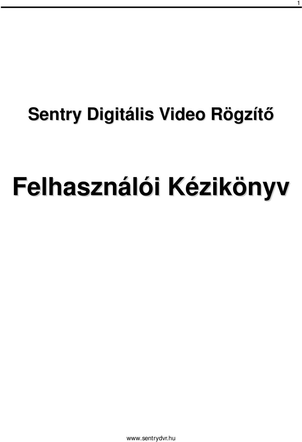 Video Rögzítő