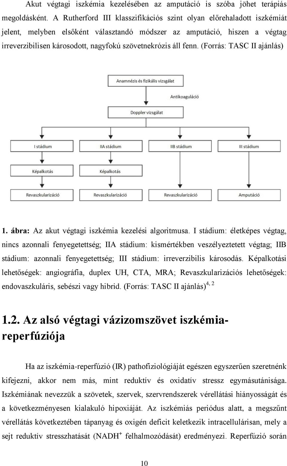 áll fenn. (Forrás: TASC II ajánlás) 1. ábra: Az akut végtagi iszkémia kezelési algoritmusa.