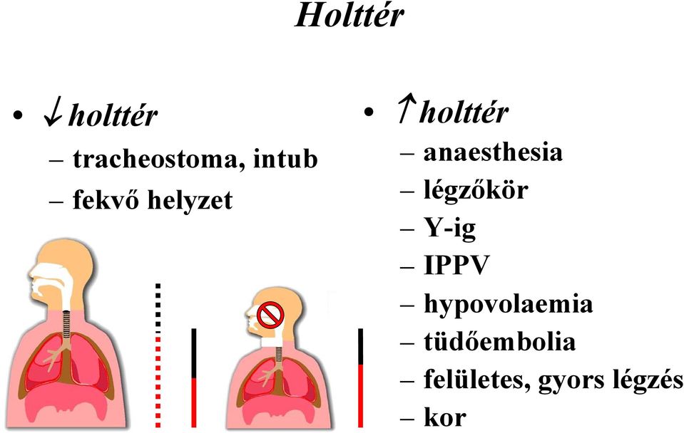 légzőkör Y-ig IPPV hypovolaemia