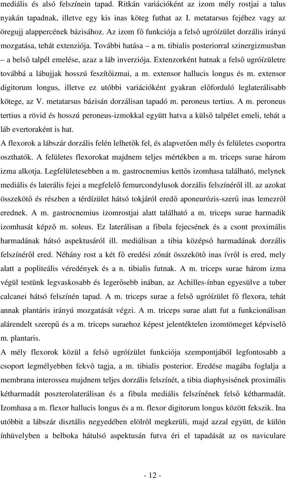 Extenzorként hatnak a felső ugróízületre továbbá a lábujjak hosszú feszítőizmai, a m. extensor hallucis longus és m.