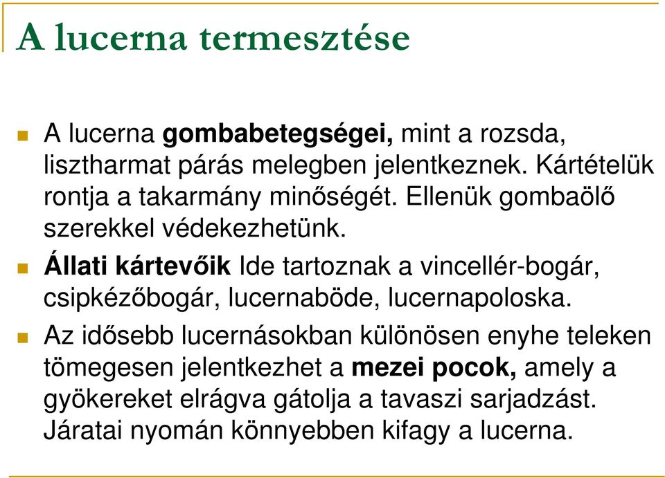 Állati kártevıik Ide tartoznak a vincellér-bogár, csipkézıbogár, lucernaböde, lucernapoloska.