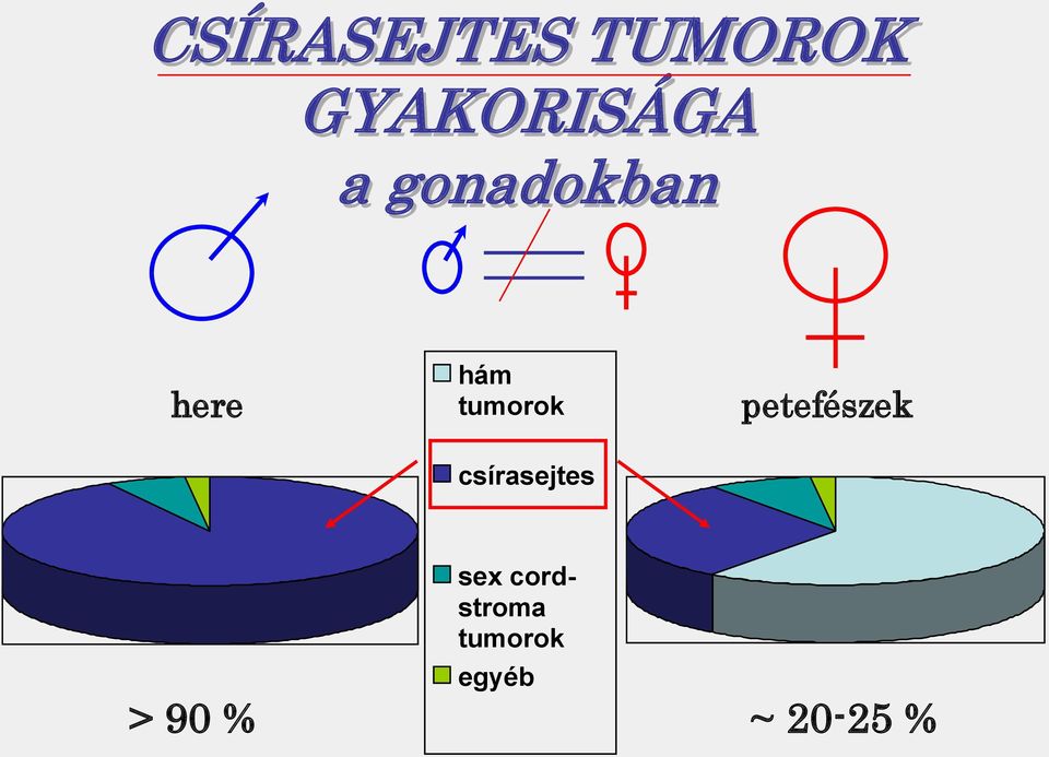 petefészek csírasejtes sex