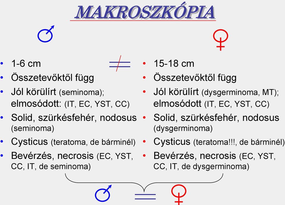 seminoma) 15-18 cm Összetevőktől függ Jól körülírt (dysgerminoma, MT); elmosódott (IT, EC, YST, CC) Solid,