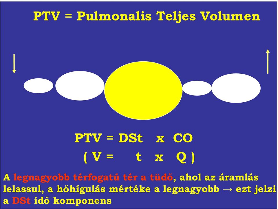 tüdő, ahol az áramlás lelassul, a hőhígulás