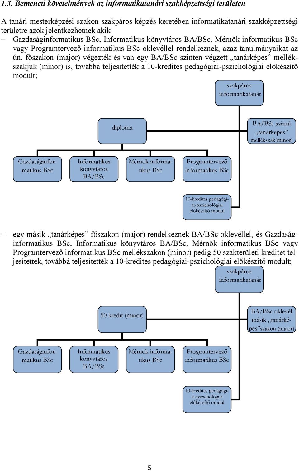 főszakon (major) végezték és van egy BA/BSc szinten végzett tanárképes mellékszakjuk (minor) is, továbbá teljesítették a 10-kredites pedagógiai-pszichológiai előkészítő modult; szakpáros