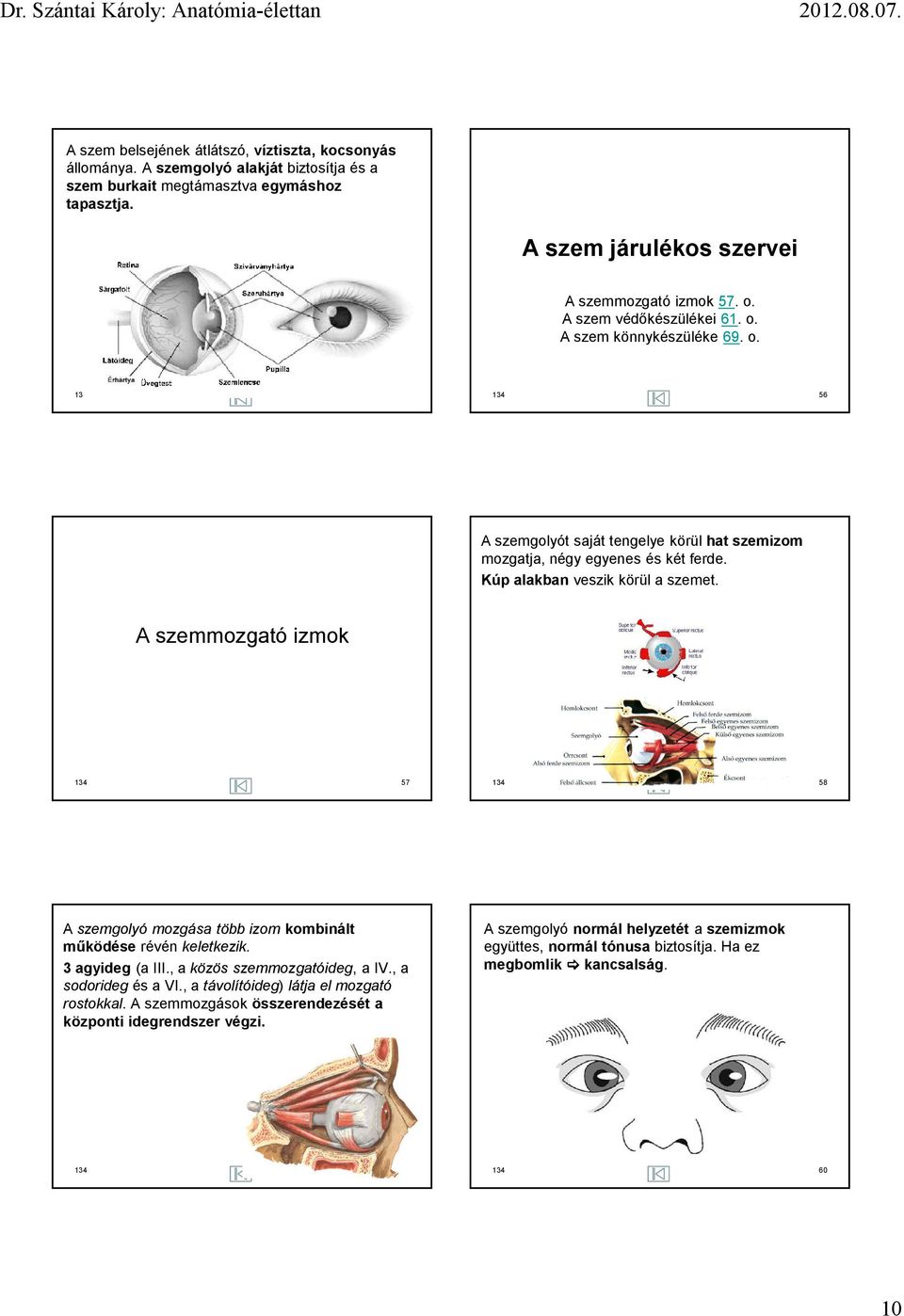 A szemmozgató izmok 134 57 134 58 A szemgolyó mozgása több izom kombinált működése révén keletkezik. 3 agyideg (a III., a közös szemmozgatóideg, a IV., a sodorideg és a VI.