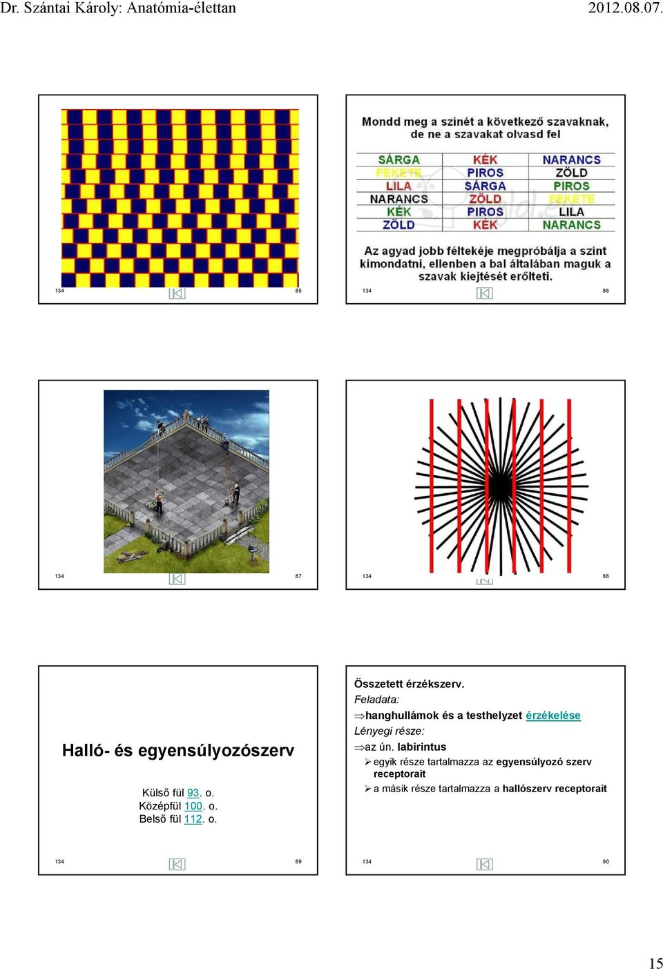 Feladata: hanghullámok és a testhelyzet érzékelése Lényegi része: az ún.