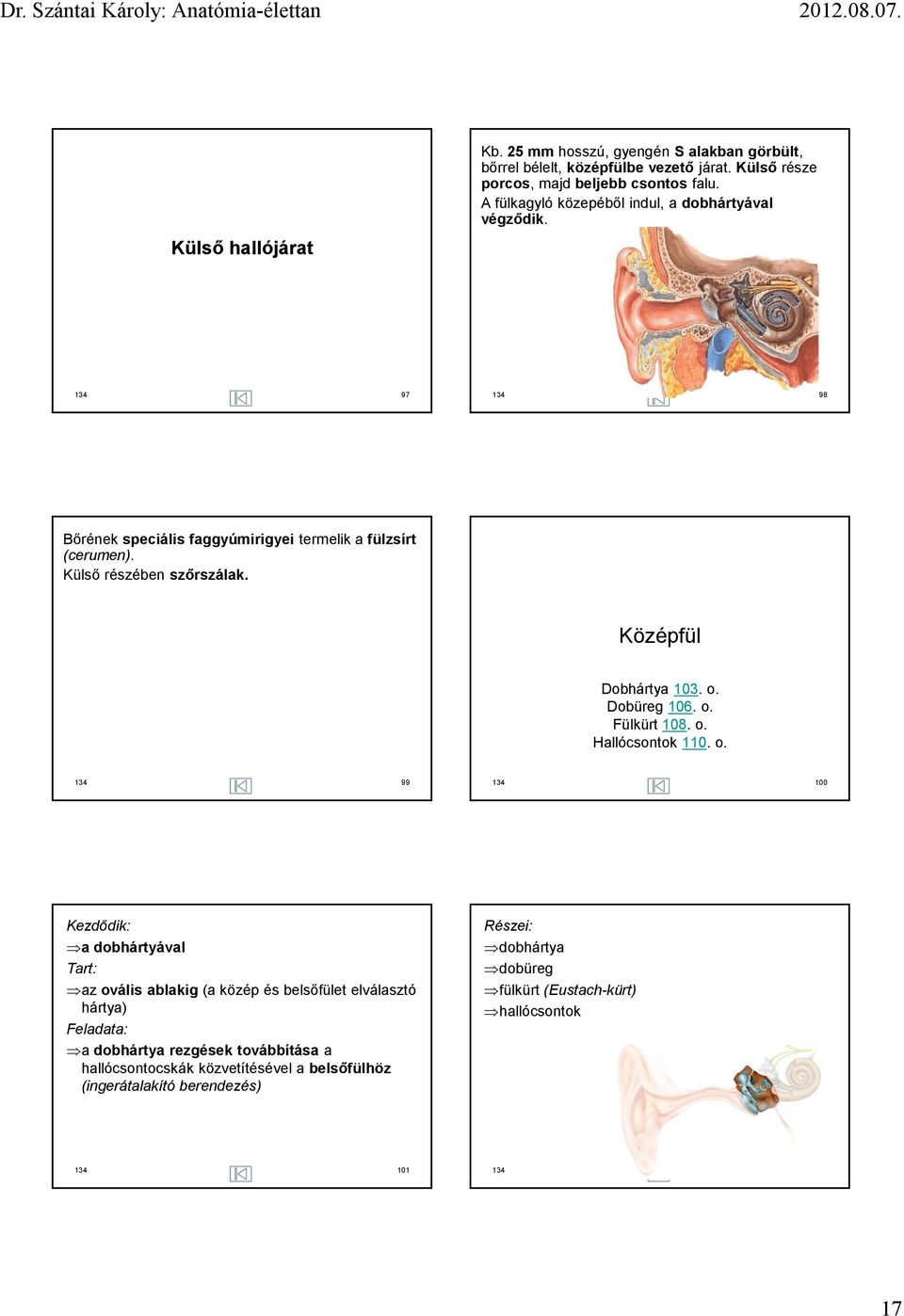 Középfül Dobhártya 103. o.