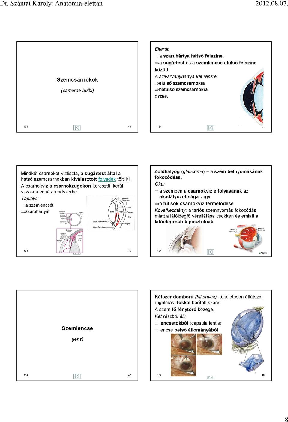 A csarnokvíz a csarnokzugokon keresztül kerül vissza a vénás rendszerbe. Táplálja: a szemlencsét szaruhártyát Zöldhályog (glaucoma) = a szem belnyomásának fokozódása.