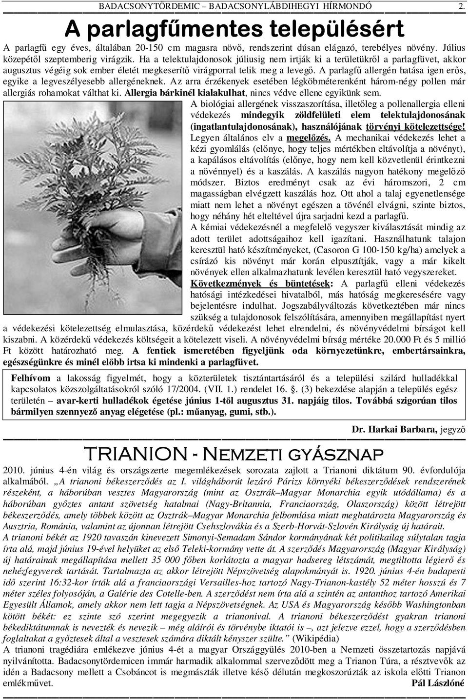 A parlagfű allergén hatása igen erős, egyike a legveszélyesebb allergéneknek. Az arra érzékenyek esetében légköbméterenként három-négy pollen már allergiás rohamokat válthat ki.