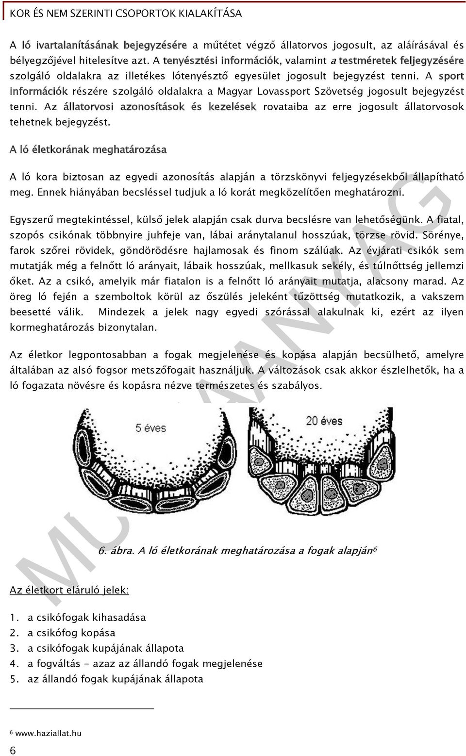 A sport információk részére szolgáló oldalakra a Magyar Lovassport Szövetség jogosult bejegyzést tenni.