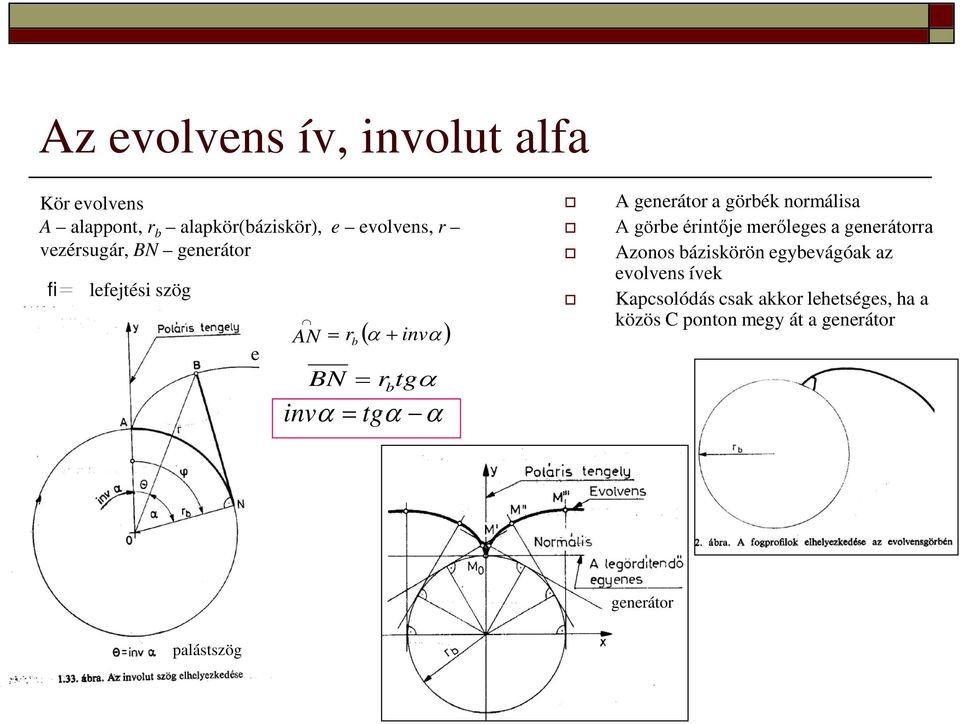 generátor a görbék normálisa A görbe érintője merőleges a generátorra Azonos báziskörön egybevágóak