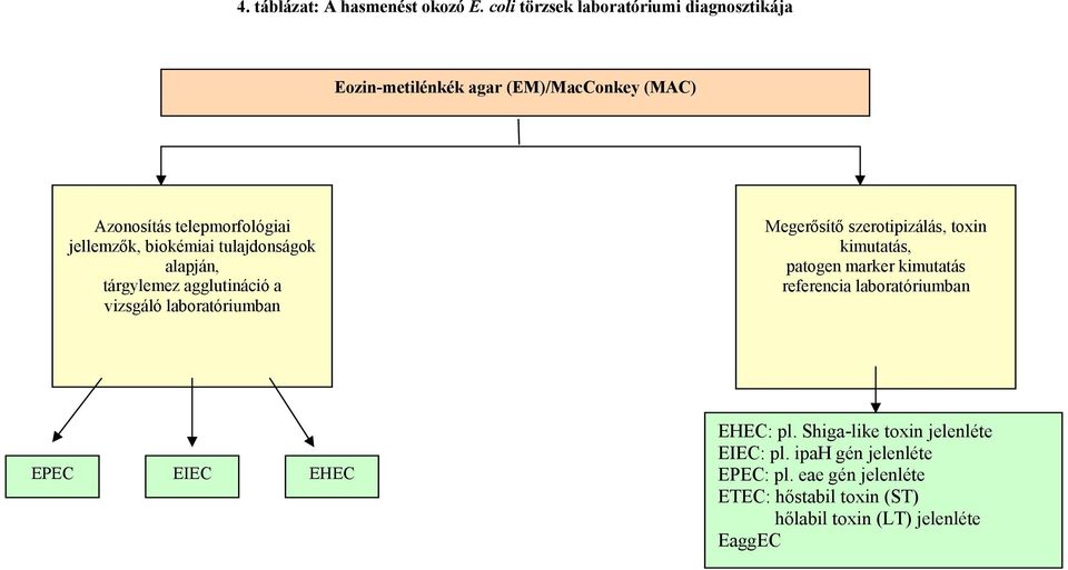 biokémiai tulajdonságok alapján, tárgylemez agglutináció a vizsgáló laboratóriumban Megerősítő szerotipizálás, toxin